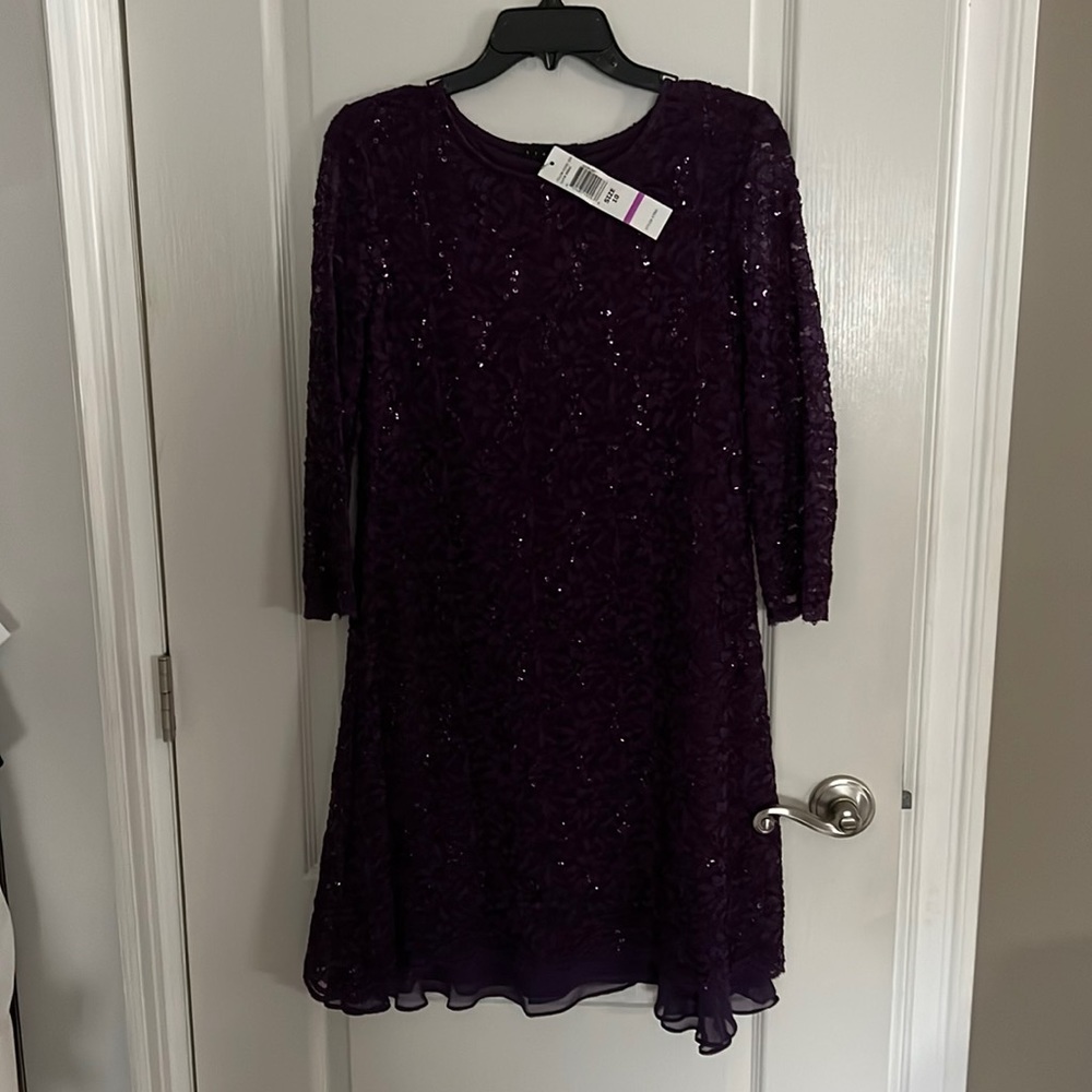 NWT Fancy Purple Dress